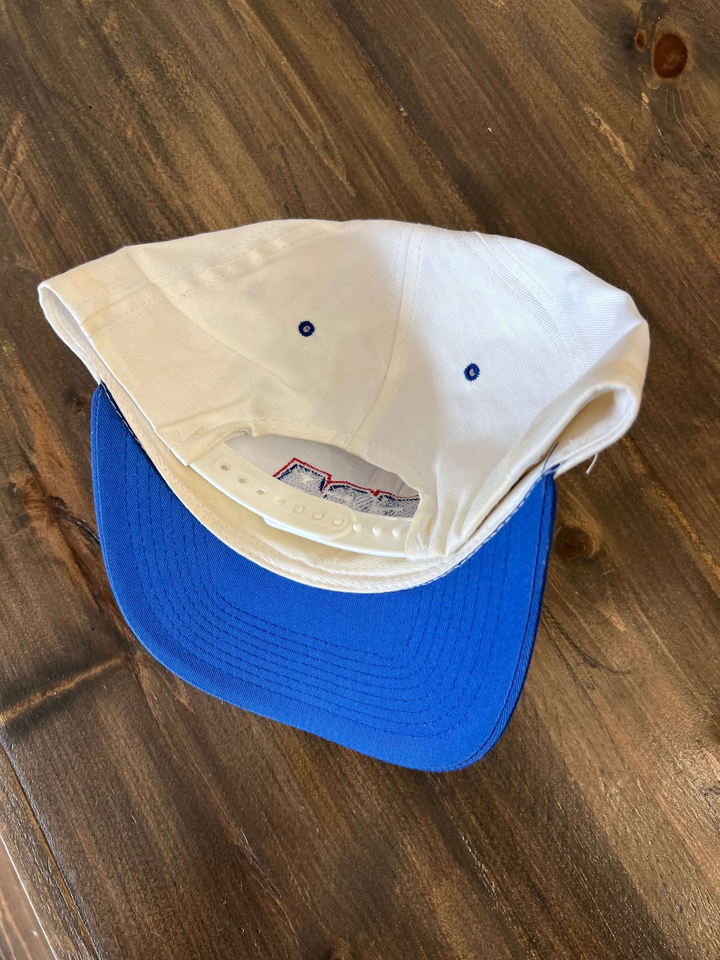 (O/S) 90s Sega Sports Hat