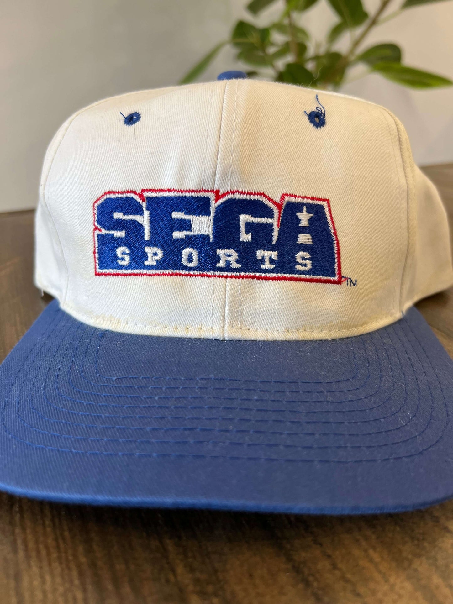 (O/S) 90s Sega Sports Hat