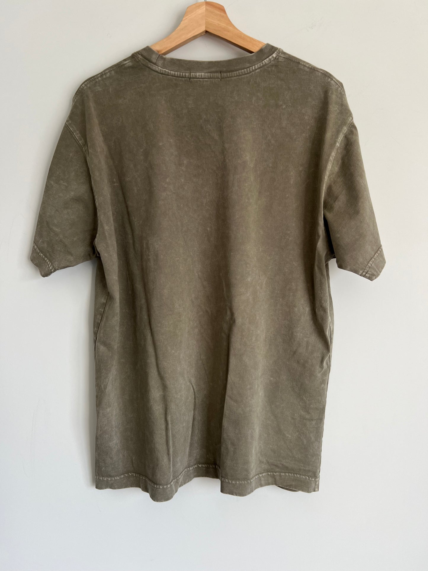 (L) Dime Green Washed T-Shirt